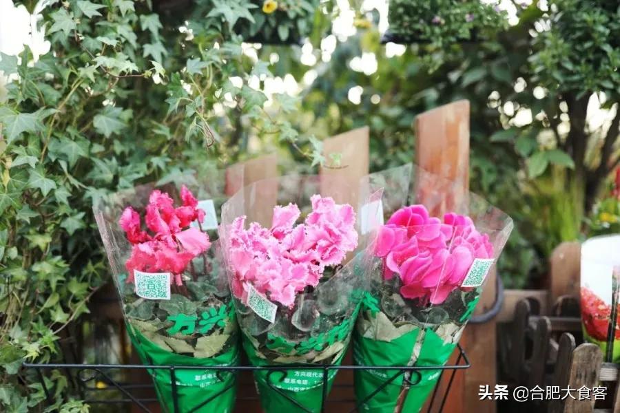 <html>
<head><title>502BadGateway</title></head>
<body>
<center><h1>502BadGateway</h1></center>
<hr><center>nginx</center>
</body>
</html>
<!--apaddingtodisableMSIEandChromefriendlyerrorpage-->
<!--apaddingtodisableMSIEandChromefriendlyerrorpage-->
<!--apaddingtodisableMSIEandChromefriendlyerrorpage-->
<!--apaddingtodisableMSIEandChromefriendlyerrorpage-->
<!--apaddingtodisableMSIEandChromefriendlyerrorpage-->
<!--apaddingtodisableMSIEandChromefriendlyerrorpage-->
