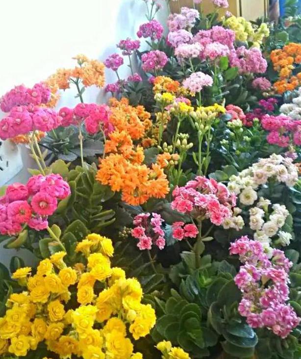 这三种药建议收藏,这3种药不能随便用