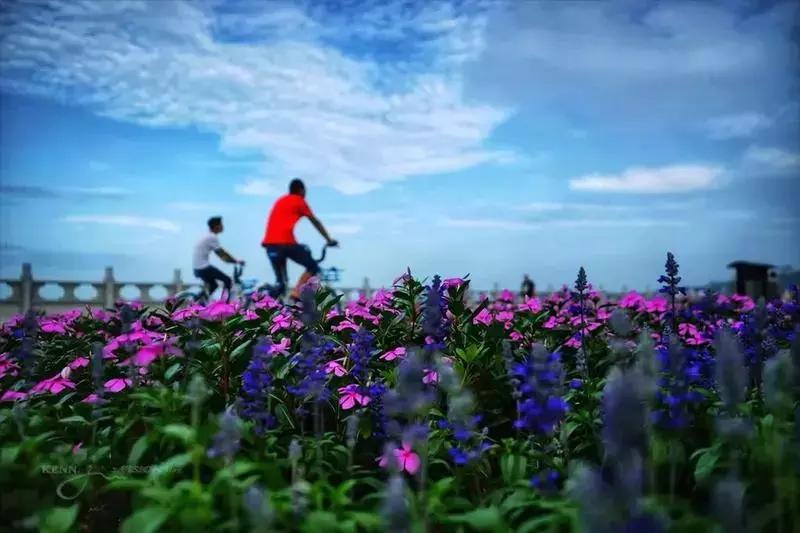 珠海外伶仃岛民宿,珠海外伶仃岛简介