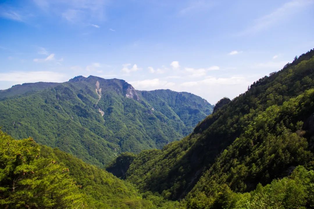 秦岭光头山至鹿角梁穿越路线,秦岭西观音山徒步登山路线攻略