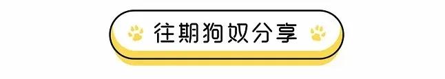 给狗起名字侵权吗,给狗起了一个字名字
