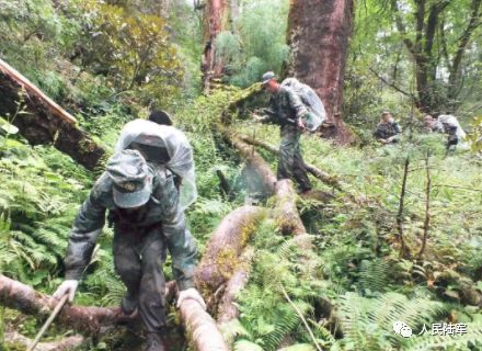 100张中国海防巡逻图,看哭了盘点中国军人的戳泪瞬间