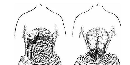 束腰带到底能不能瘦腰,束腰带真的能瘦腰吗