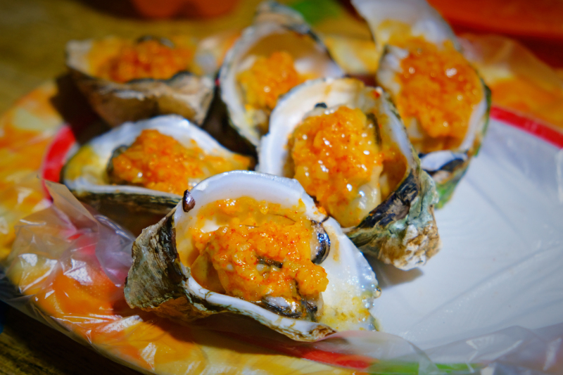 湛江遂溪角头沙旅游攻略,湛江江洪镇旅游攻略