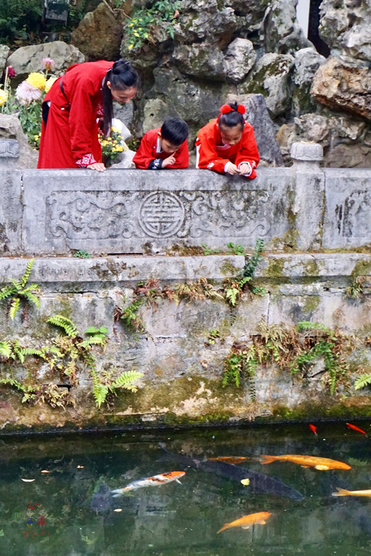 康熙乾隆12次下江南，却去了惠山古镇14次，一个小镇到底藏了啥？