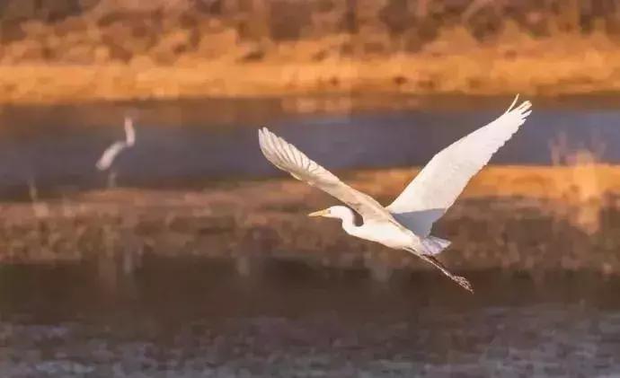 水利部河湖整治,推行河长制实现河畅水清岸绿景美