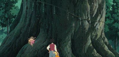 龙猫最久能活多久,龙猫30秒