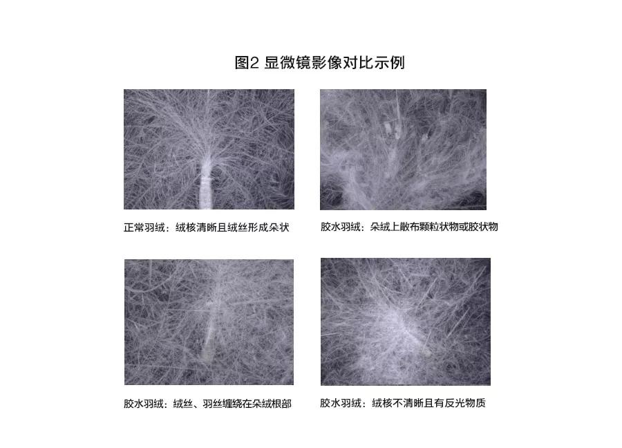 新羽绒服跑绒测试,最轻薄最保暖的羽绒服测试