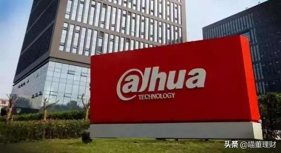 大华股份创新业务发展前景,大华股份全球布局