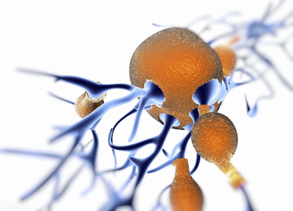 衰老头脑有淤血会有生命危险吗,衰老会导致心脏出现什么问题