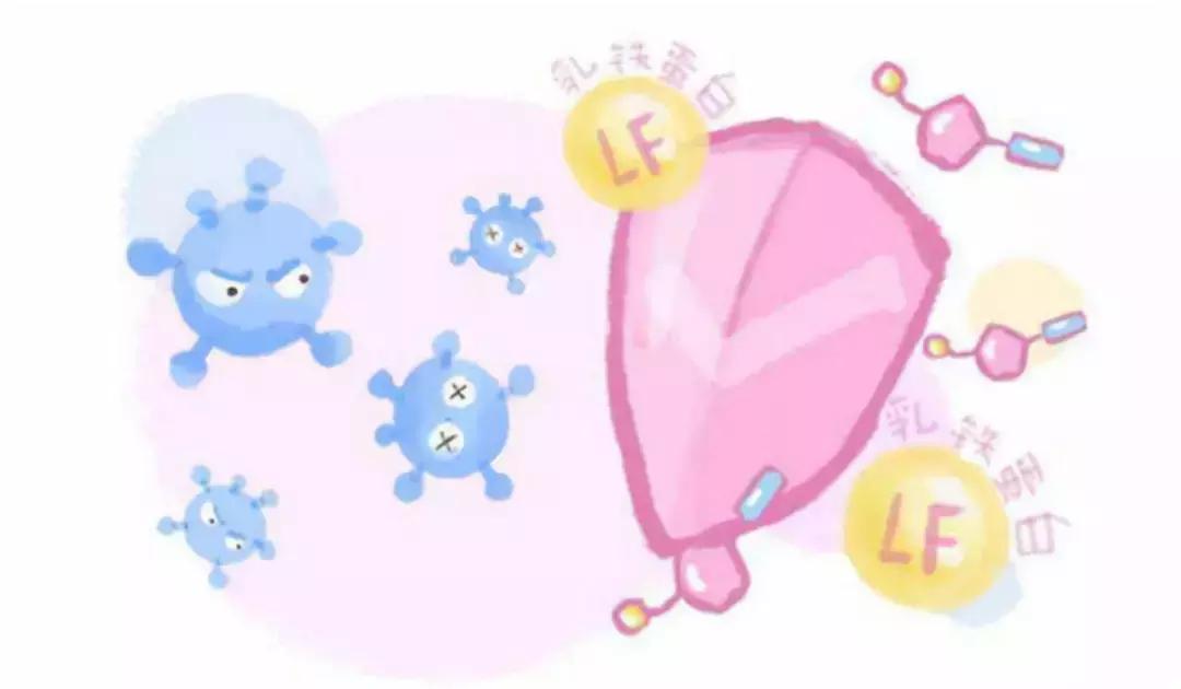 奶粉有益成分,奶粉乳铁蛋白营养成分没写