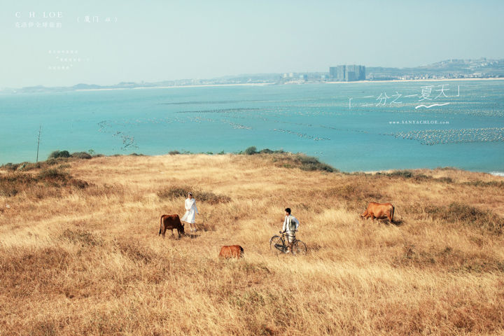 小清新婚纱照主题名称,荆州婚纱照小清新风格