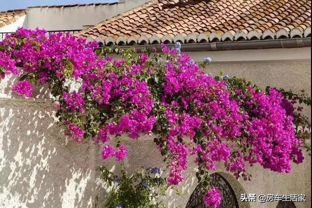 房车旅行厦门哪里好一点,房车生活家南昌店