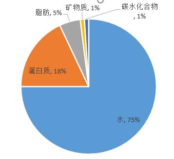 如何在一天内瘦5斤?看体重的构成部分及变化因素