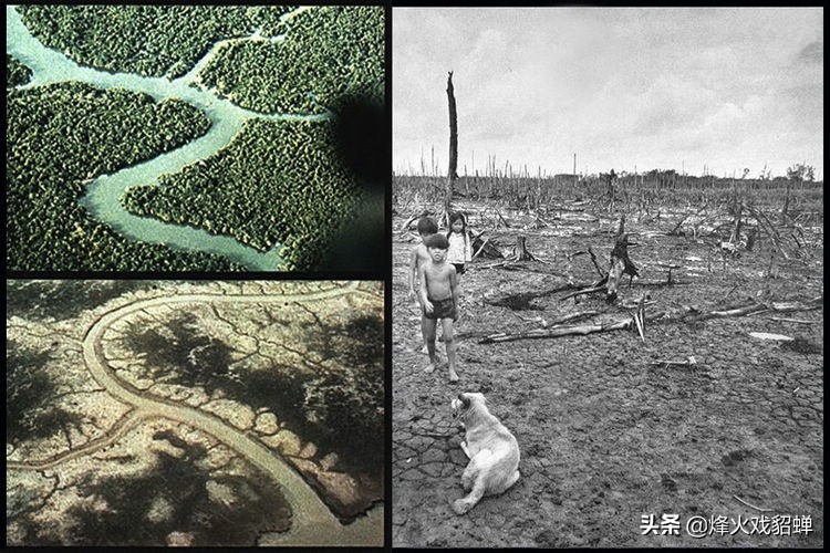 越南战争美军女兵用药,越战时期美国大兵越南女兵