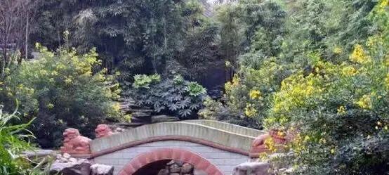 成都望江楼公园简介,成都望江楼公园要门票吗