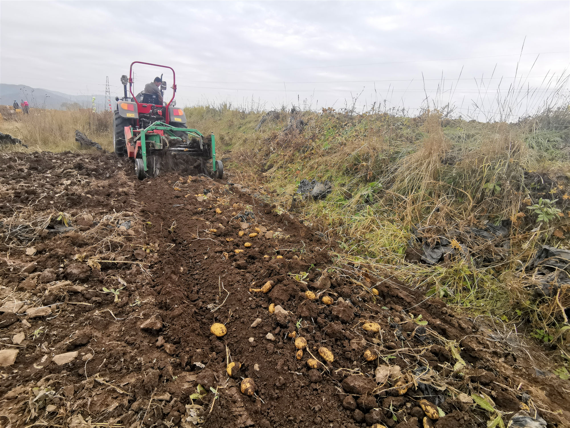 渭源会川镇一牛人凭“公司+基地+专业合作社+农户”创出致富路