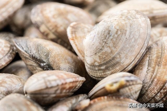 花蛤吐沙放香油是真的吗,花蛤怎么吐沙干净放香油