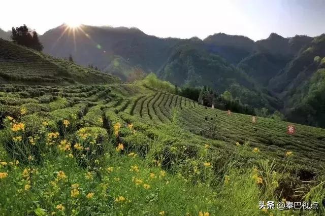 「非公*党**建专题」陈武成：云雾之上*党**旗红