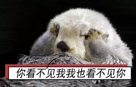 求代购的那些人究竟是怎么想的？