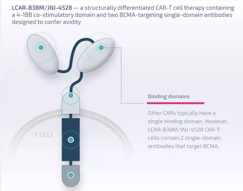 car-t免疫疗法治疗哪些癌症,car-t疗法最新临床试验