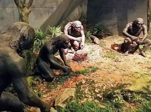 人类全身褪去毛发后，为什么只留下头发、阴毛和腋毛？