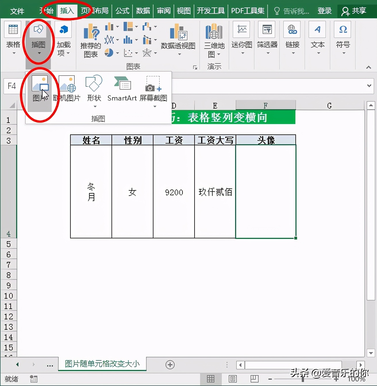 excel表格单元格随文字的大小变化,excel批量插入图片适应单元格大小