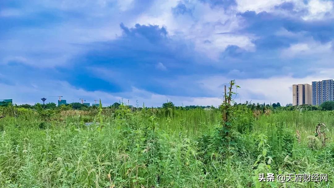 繁华VS荒凉，成都光华大道“真空地带”下的城市奇观
