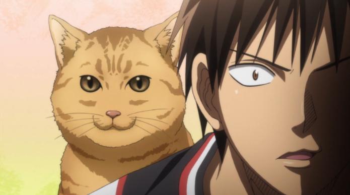 第17届声优awards江口拓也,江口拓也声优见面会