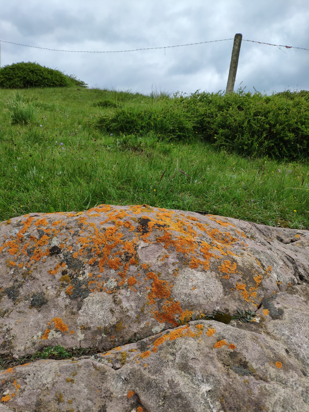 在大西北实习的那几天,下