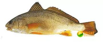 舟山海鲜攻略2天1晚住宿自由行,舟山最好的海鲜