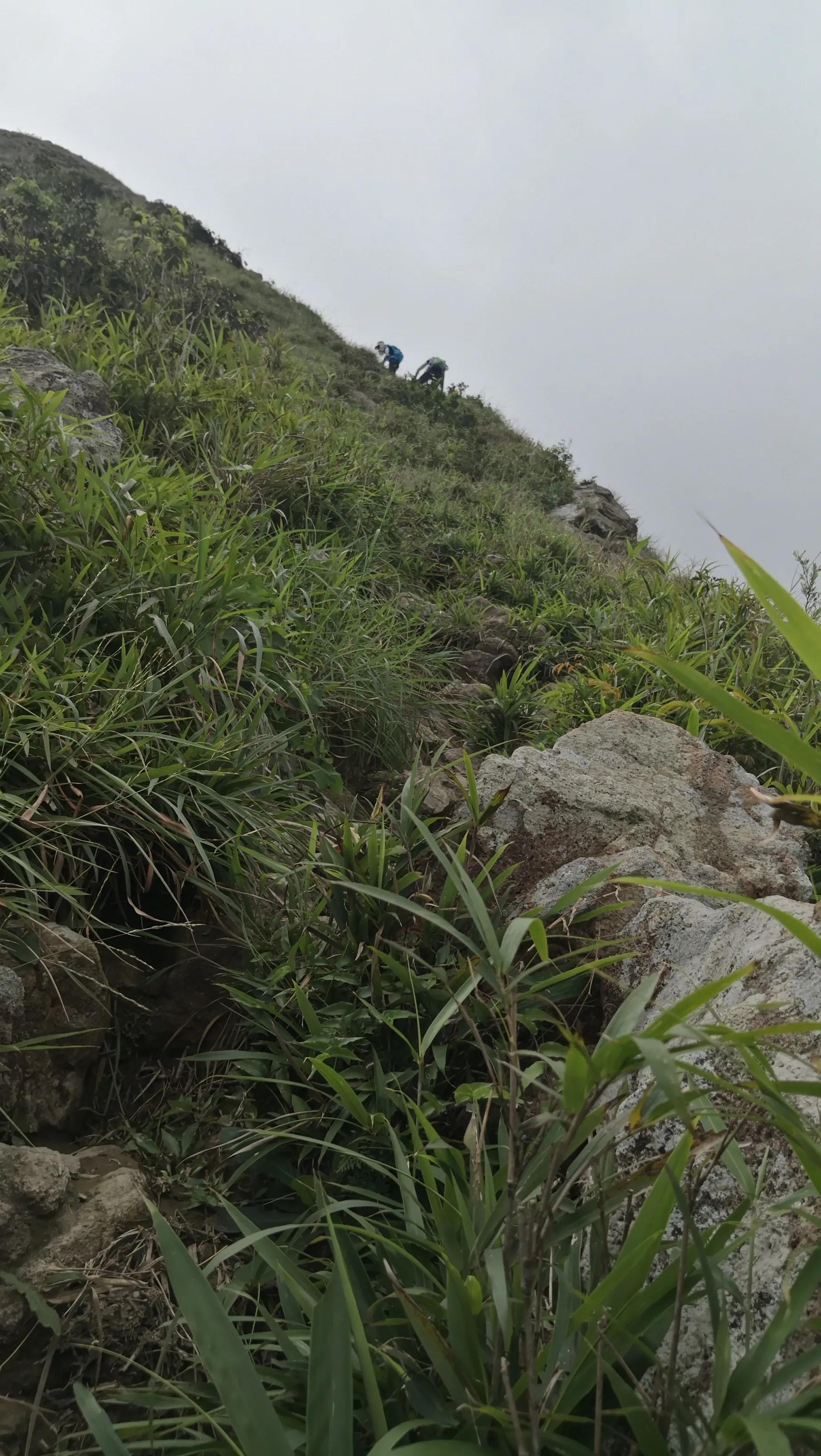 香港凤凰山狗牙岭难度大不大,香港凤凰山最难爬的山