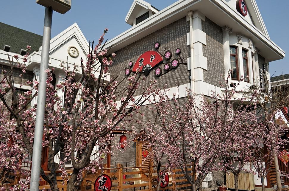 日本最大风情街落户大连开业,中国政府对大连日本风情街的态度