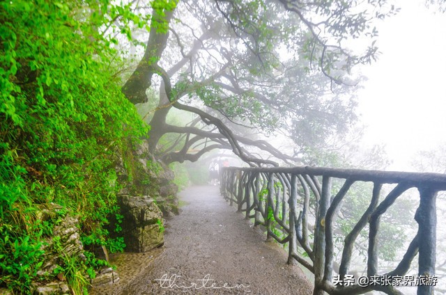 大美张家界之天门山狐仙,张家界旅游天门狐仙值得看吗