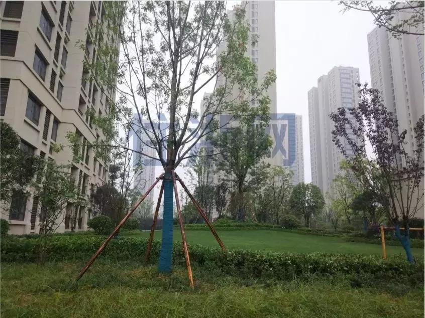 江湾城10月交房的房子是什么样,江湾城交房