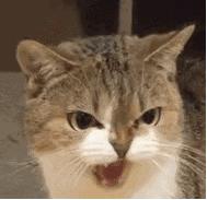 每日成语小故事与虎谋皮,每日成语小故事家喻户晓