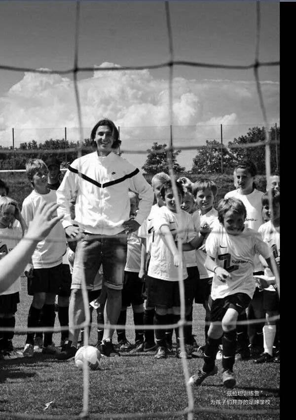 伊布当年有多狂,伊布究竟有多强