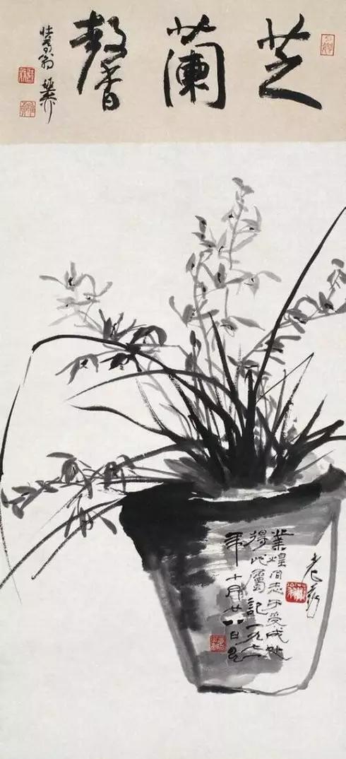 兰花绘画技法教程视频,泰国兰花绘画技法