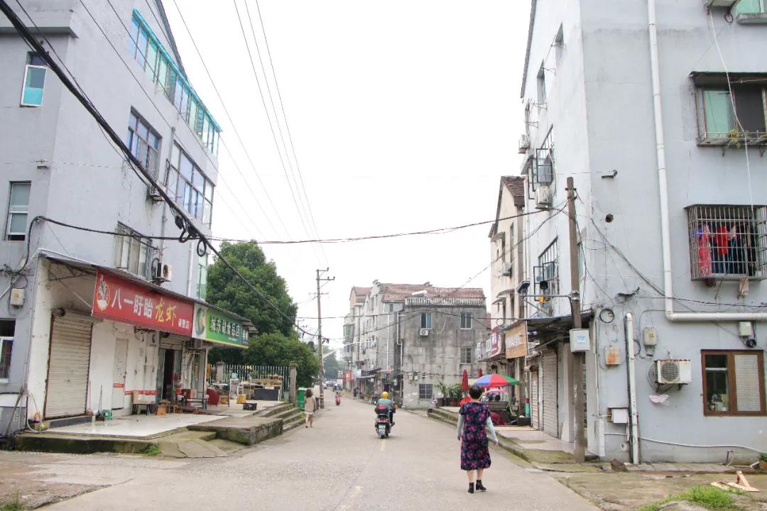 诸暨最土豪的村子在哪里,诸暨十大土豪村