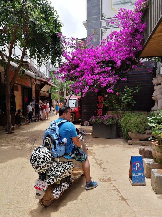 大理洱海风花雪月,大理风景风花雪月