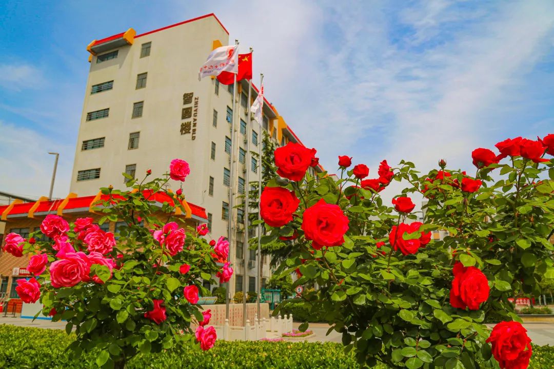 郑州二中和郑州十九中哪个好,郑州19中高中部是好学校吗