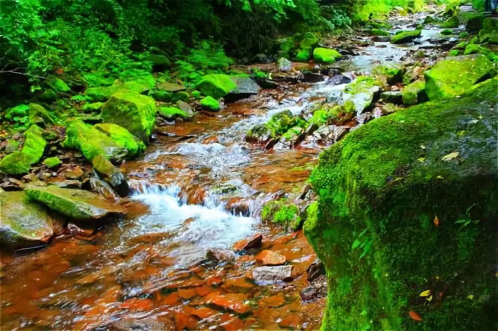 宁夏一个你来了就不想走的地方,宁夏固原最好的地方