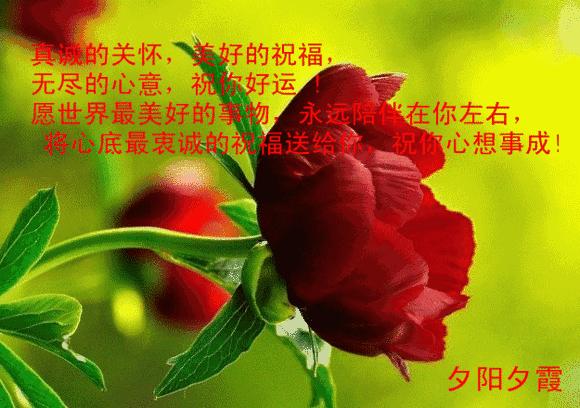 早上好动态图片大全最美问候,最美早上好祝福语动态美图