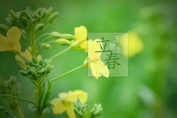 2024寡妇年无春年是什么意思,2024无春年有哪些忌讳