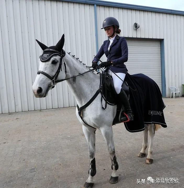 北京海淀教育有多牛,北京海淀教育靠谱吗