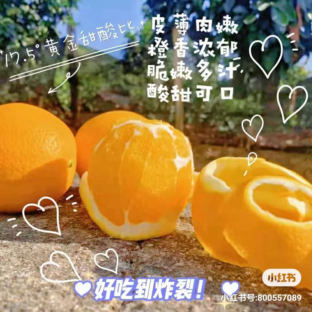 离城市很近离太阳很远,离城市很远离太阳很近的城市