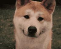 oppo手机的5大操作,oppo手机五大操作