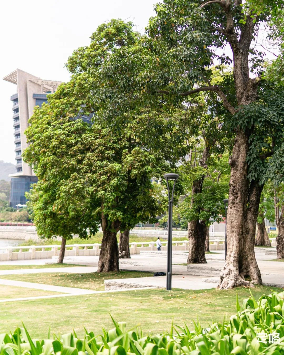 深圳人少的海滨公园,深圳滨海公园怎么样