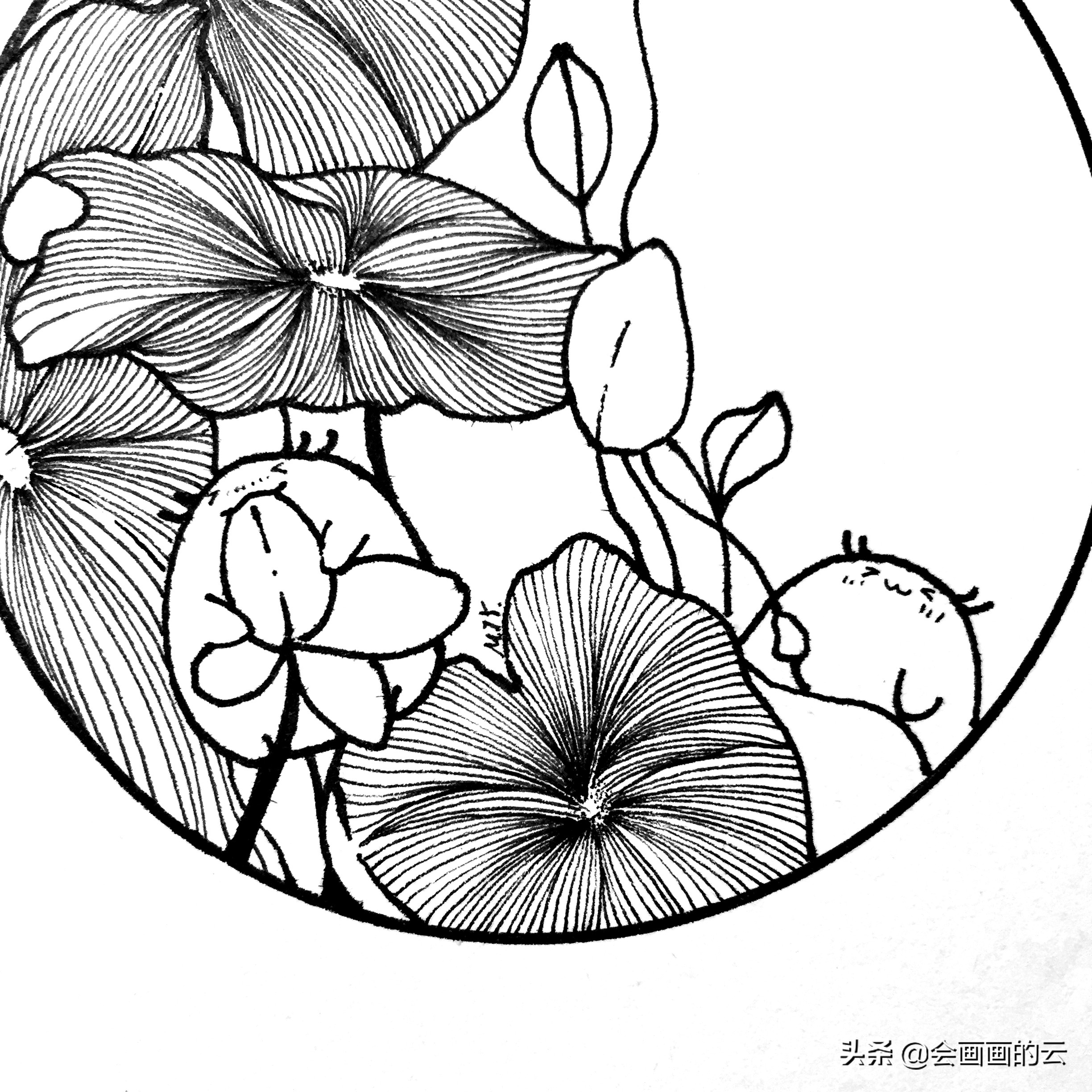 二次元简笔画教程新手入门必备,画画新手必练300图简笔画