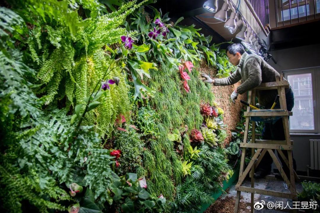 王昱珩上学经历,清华毕业的王昱珩